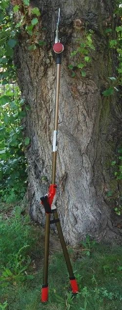Cesoie per siepi giapponesi con lame da 150 mm, lunghezza totale 1800 mm Cesoie per siepi giapponesi con lame da 150 mm, lunghezza totale 1800 mm