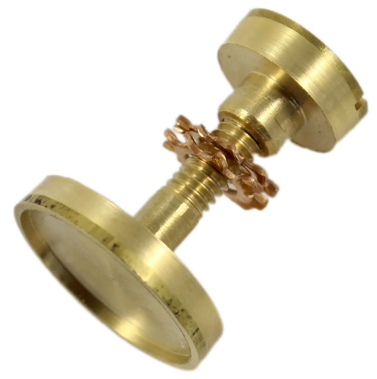 Set di viti con vite a testa piatta Medallion e dado a intaglio in ottone.