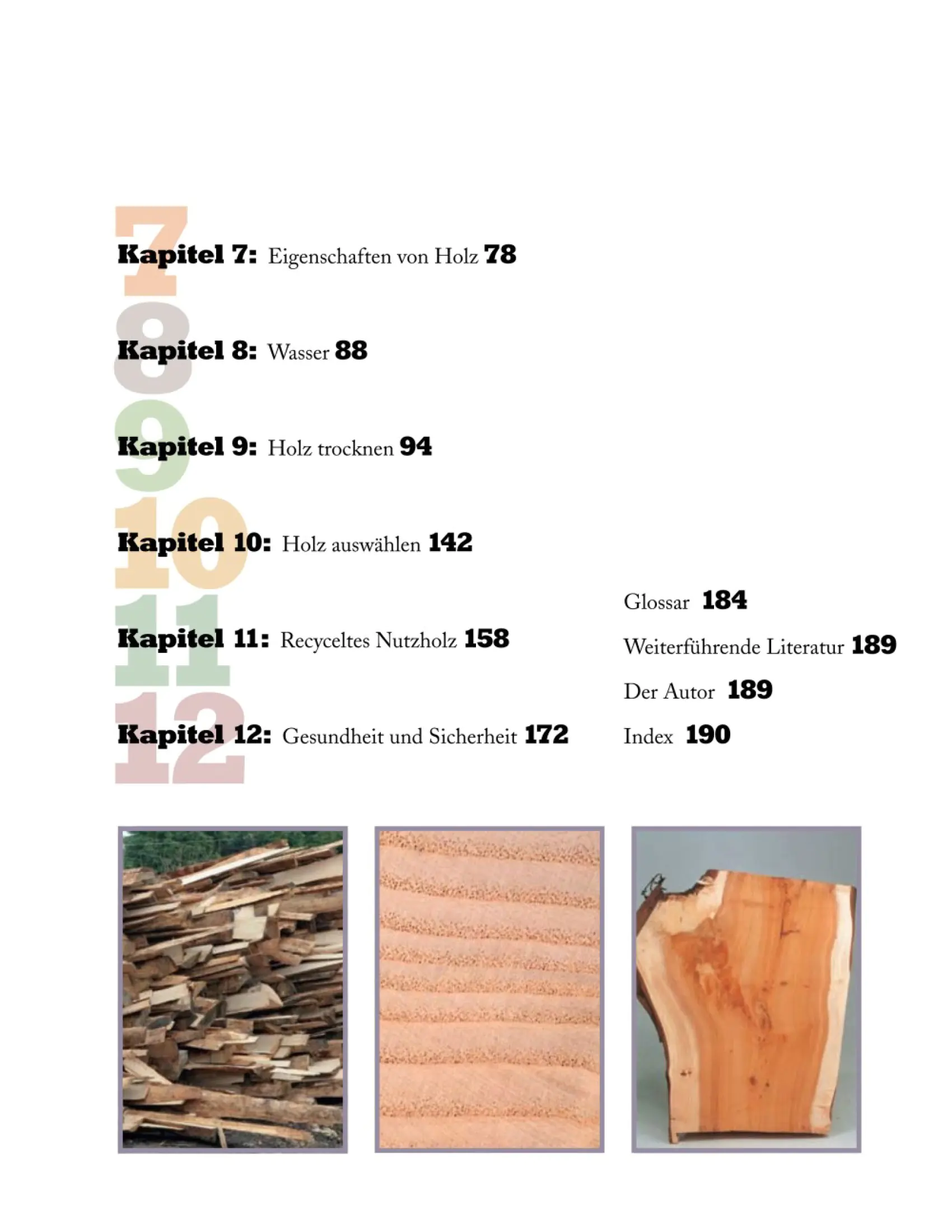 Holz trocknen und lagern / Alan Holtham Holz trocknen und lagern / Alan Holtham