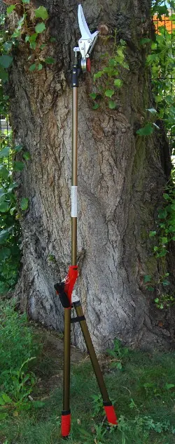 Cesoie per siepi giapponesi con lame da 150 mm, lunghezza totale 1800 mm Cesoie per siepi giapponesi con lame da 150 mm, lunghezza totale 1800 mm