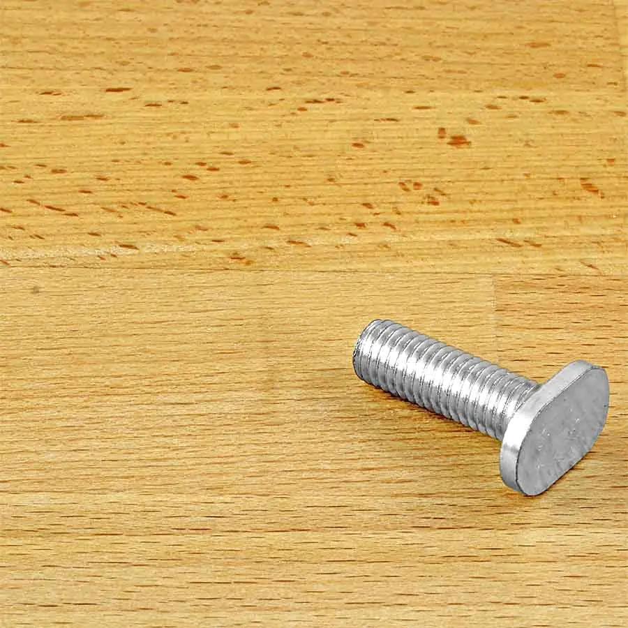 M8 x 25 mm T-bolt
