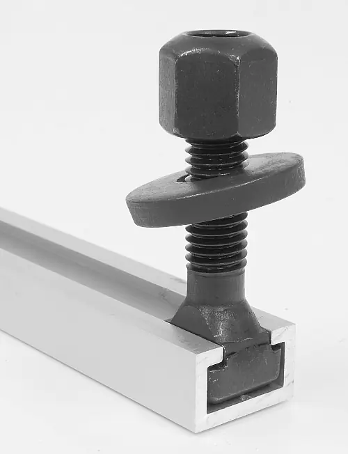 Vite a T con dado esagonale e rondella filettatura M8 (D) per guide con solco largo 8mm M8x8x32 Vite a T con dado esagonale e rondella filettatura M8 (D) per guide con solco largo 8mm M8x8x32