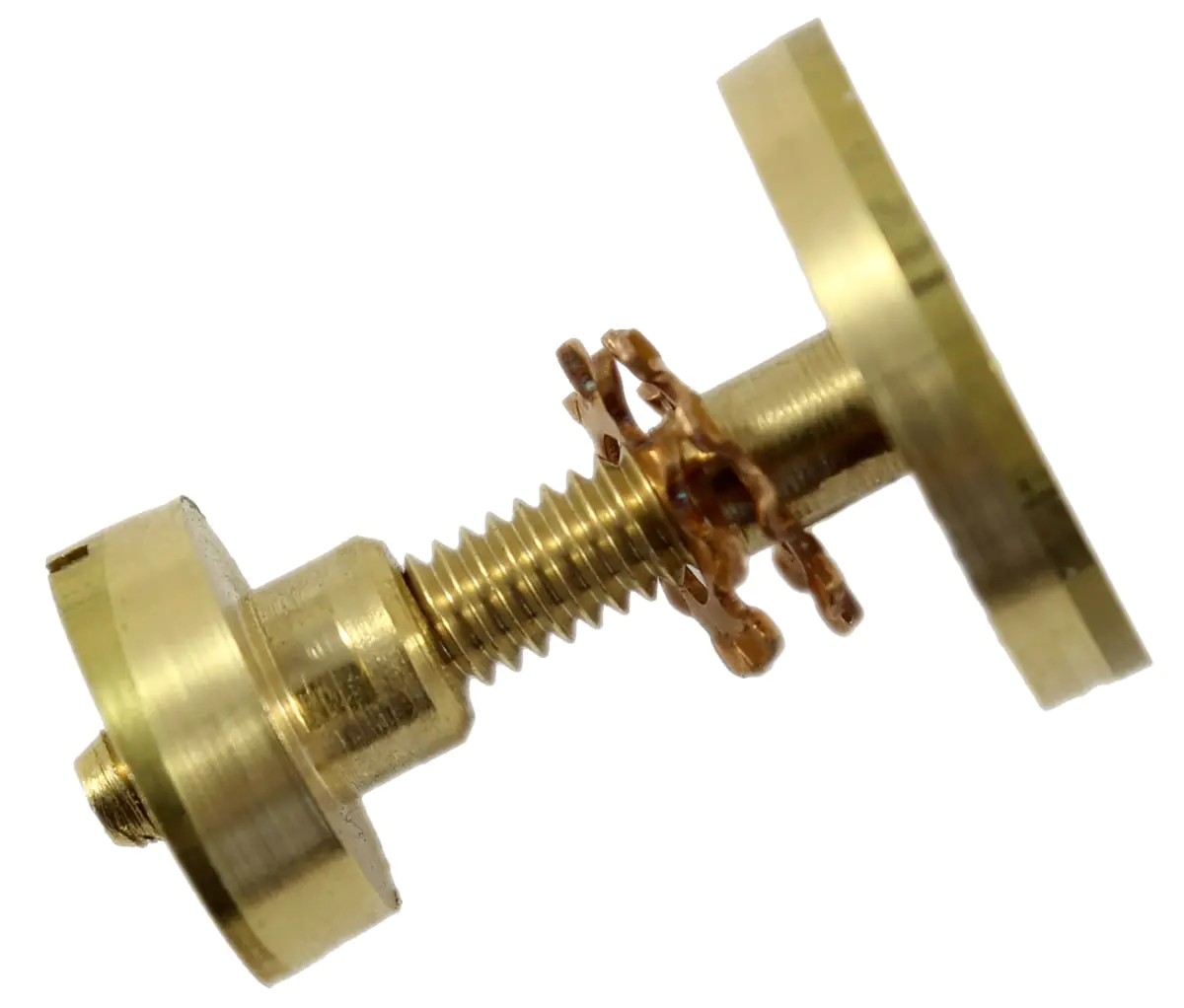 Set di viti con vite a testa piatta a medaglione e dado scanalato in ottone Set di viti con vite a testa piatta a medaglione e dado scanalato in ottone