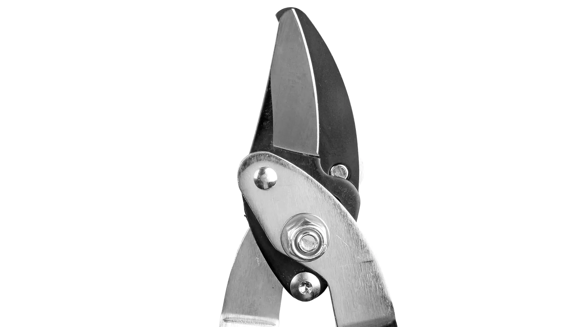 Troncarami uncino giapponese per rami fino a uno spessore di 45 mm PRUMAN Troncarami uncino giapponese per rami fino a uno spessore di 45 mm PRUMAN