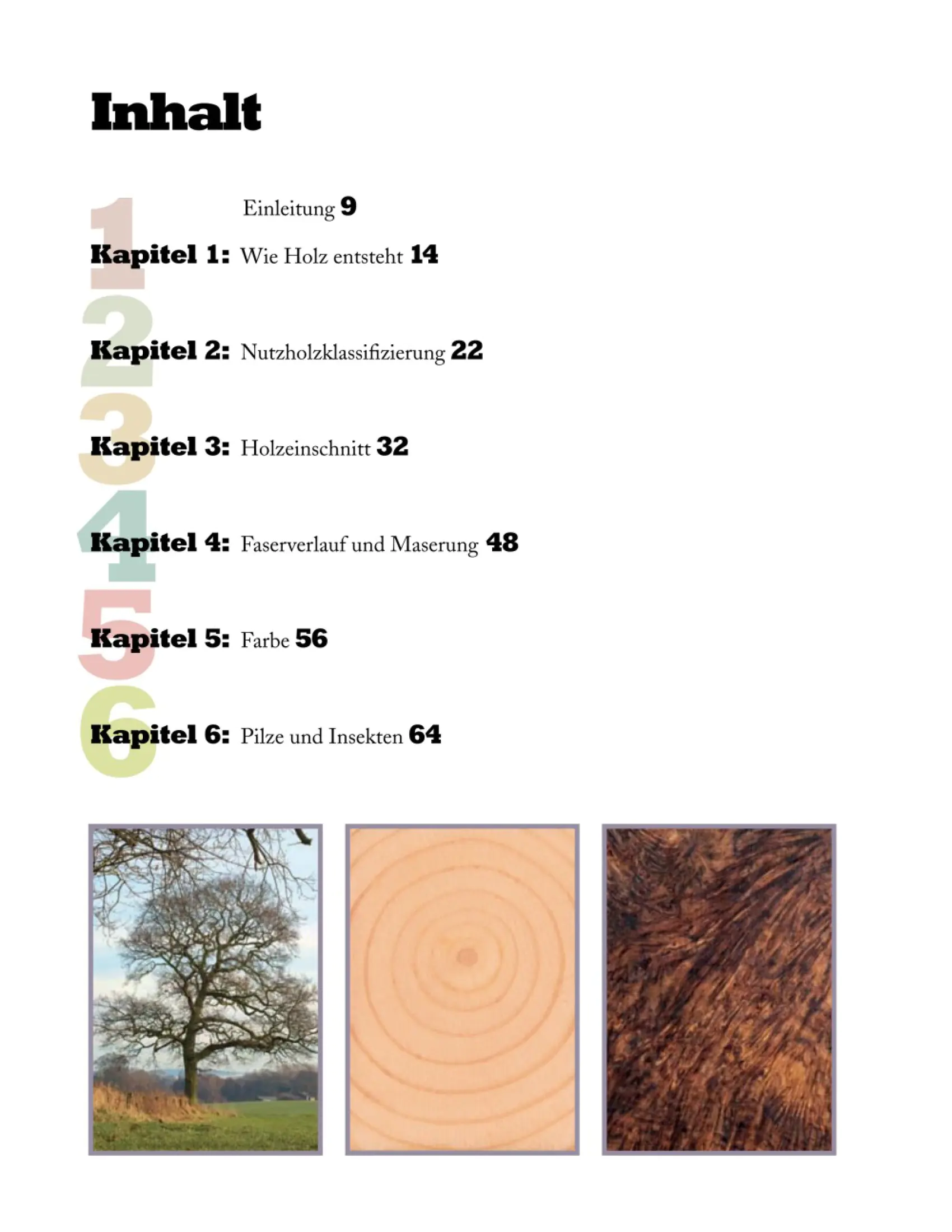 Holz trocknen und lagern / Alan Holtham Holz trocknen und lagern / Alan Holtham