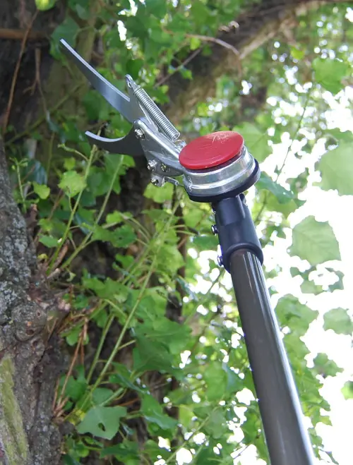 Cesoie per siepi giapponesi con lame da 150 mm, lunghezza totale 1800 mm Cesoie per siepi giapponesi con lame da 150 mm, lunghezza totale 1800 mm