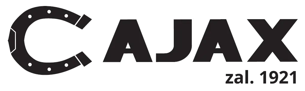AJAX AJAX